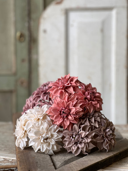 Damask Dahlia Bundle | 10" | Cream | NOT CURRENTLY IN STOCK - Spring 2026