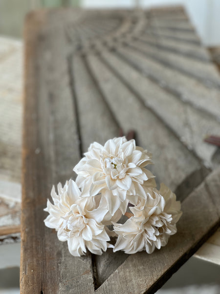 Damask Dahlia Bundle | 10" | Cream | NOT CURRENTLY IN STOCK - Spring 2026