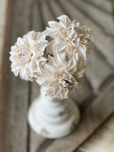 Damask Dahlia Bundle | 10" | Cream | NOT CURRENTLY IN STOCK - Spring 2026