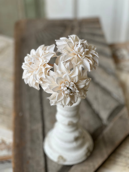 Damask Dahlia Bundle | 10" | Cream | NOT CURRENTLY IN STOCK - Spring 2026