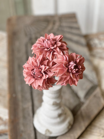 Damask Dahlia Bundle | Parasol | NOT CURRENTLY IN STOCK - Spring 2026