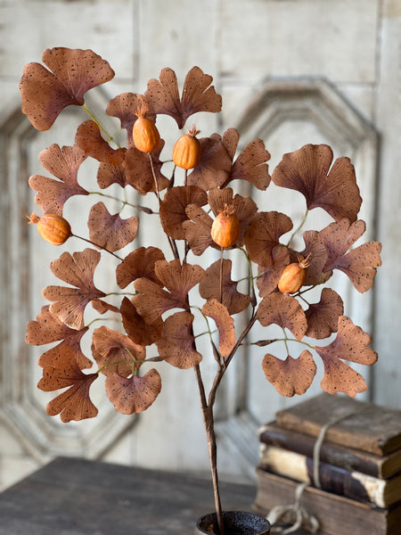 Gleaning Ginkgo Spray | 29"