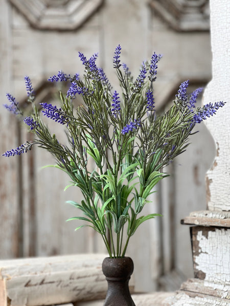 Lancer Lavender Bush | 18" | Limited Stock - Last 48pcs!  (will be discontinued for Spring 2026)