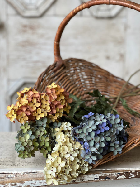 Coventry Hydrangea | 30" | Cream