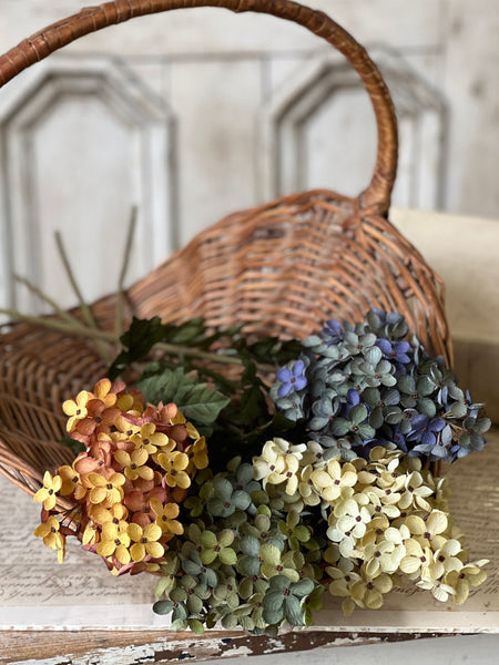 Coventry Hydrangea | 30" | Lagoon