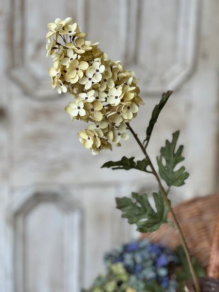 Coventry Hydrangea | 30" | Cream