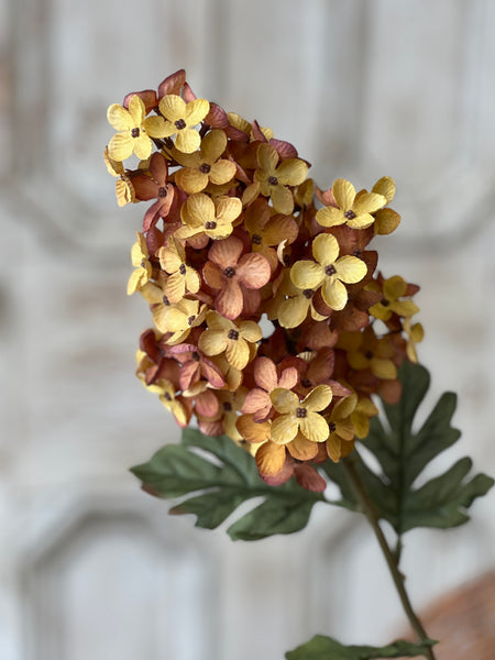 Coventry Hydrangea | 30" | Sedona