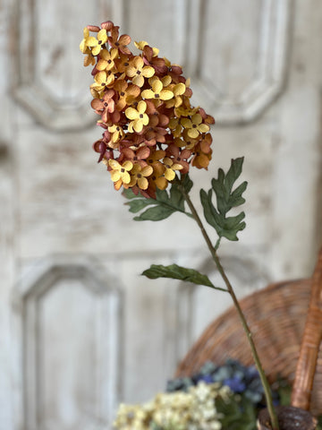 Coventry Hydrangea | 30" | Sedona