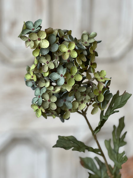 Coventry Hydrangea | 30" | Lagoon