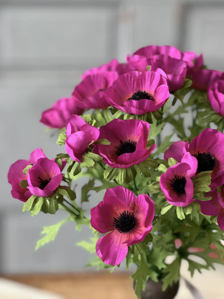 Adonis Blooms | 14" | Vanity | NOT CURRENTLY IN STOCK-New For Spring 2026!