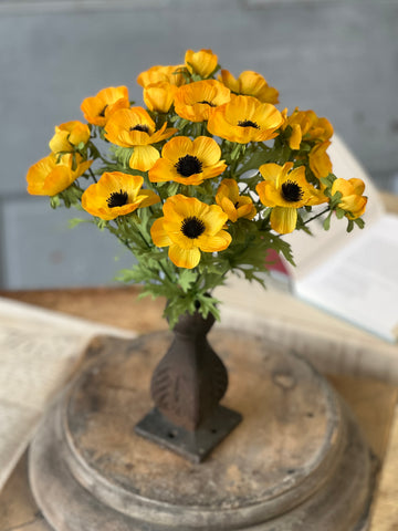 Adonis Blooms | 14" | Marigold | NOT CURRENTLY IN STOCK-New For Spring 2026!