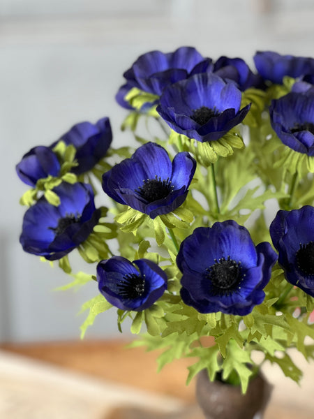 Adonis Blooms | 14" | Sapphire | NOT CURRENTLY IN STOCK-New For Spring 2026!