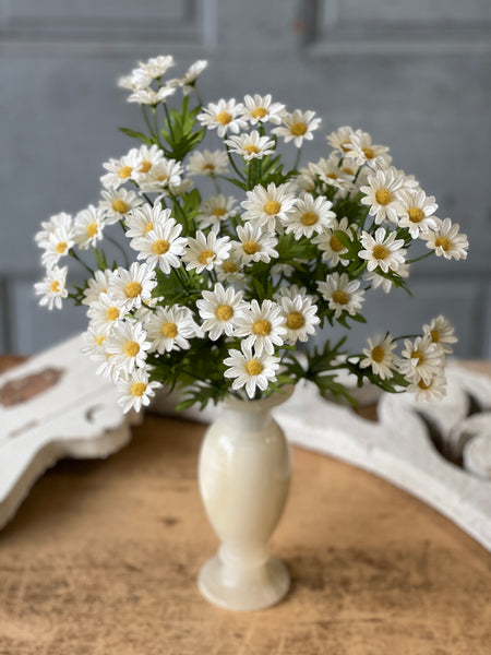 Curtsy Daisy Bush | 16" | Cream | NOT CURRENTLY IN STOCK-New For Spring 2026!