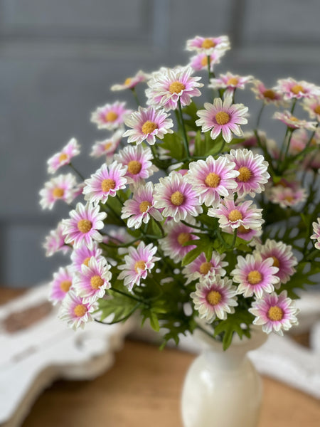 Curtsy Daisy Bush | 16" | Parfait | NOT CURRENTLY IN STOCK-New For Spring 2026!
