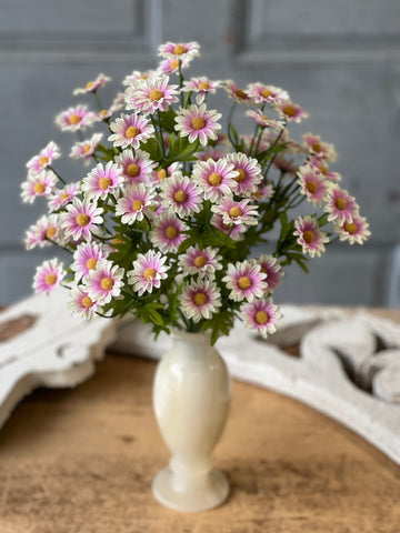Curtsy Daisy Bush | 16" | Parfait | NOT CURRENTLY IN STOCK-New For Spring 2026!