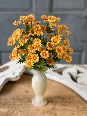 Curtsy Daisy Bush | 16" | Marigold | NOT CURRENTLY IN STOCK-New For Spring 2026!