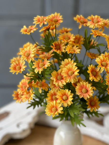 Curtsy Daisy Bush | 16" | Marigold | NOT CURRENTLY IN STOCK-New For Spring 2026!
