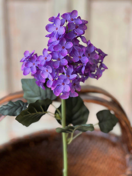 Jocelyn Hydrangea | 28" | Purple | NOT CURRENTLY IN STOCK-New For Spring 2026!
