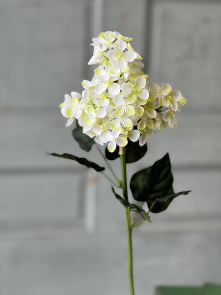 Jocelyn Hydrangea | 28" | Cream | NOT CURRENTLY IN STOCK-New For Spring 2026!