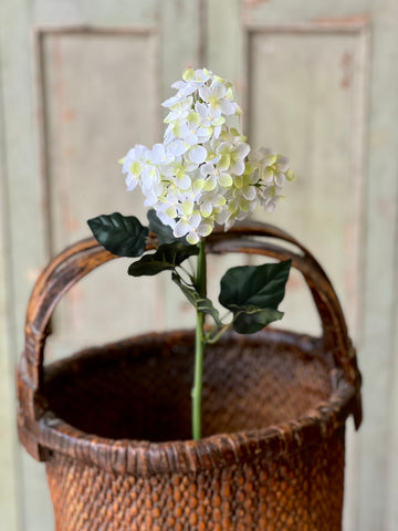 Jocelyn Hydrangea | 28" | Cream | NOT CURRENTLY IN STOCK-New For Spring 2026!