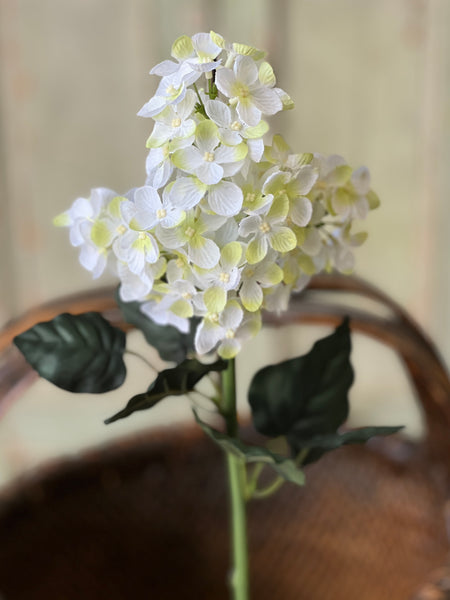 Jocelyn Hydrangea | 28" | Cream | NOT CURRENTLY IN STOCK-New For Spring 2026!
