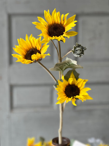 Suncup Blooms Spray | 30" | SOLD OUT