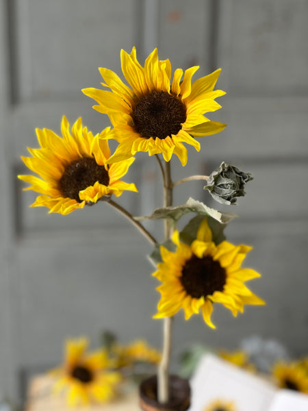 Suncup Blooms Spray | 30" | SOLD OUT