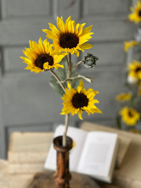 Suncup Blooms Spray | 30" | SOLD OUT