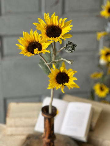 Suncup Blooms Spray | 30" | SOLD OUT