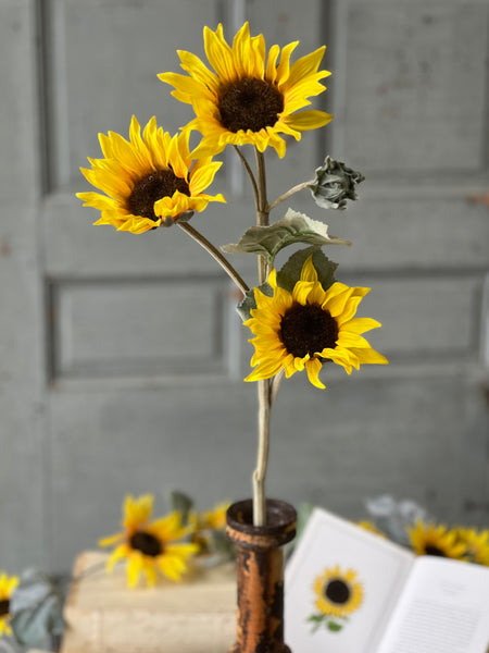 Suncup Blooms Spray | 30" | SOLD OUT