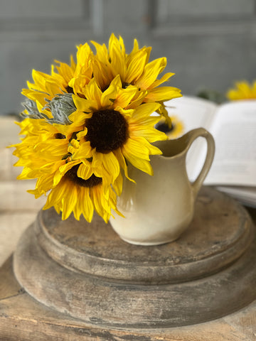 Suncup Blooms Bundle | 9" | NOT CURRENTLY IN STOCK-New For Spring 2026!