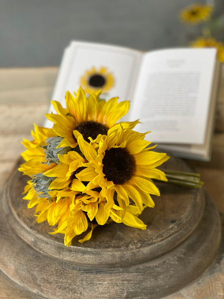 Suncup Blooms Bundle | 9" | NOT CURRENTLY IN STOCK-New For Spring 2026!