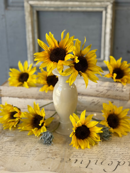 Suncup Blooms Bundle | 9" | SOLD OUT