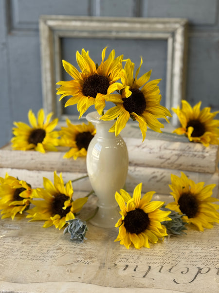 Suncup Blooms Bundle | 9" | SOLD OUT