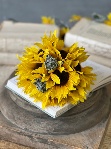 Suncup Blooms Bundle | 9" | NOT CURRENTLY IN STOCK-New For Spring 2026!