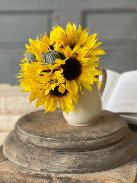 Suncup Blooms Bundle | 9" | NOT CURRENTLY IN STOCK-New For Spring 2026!