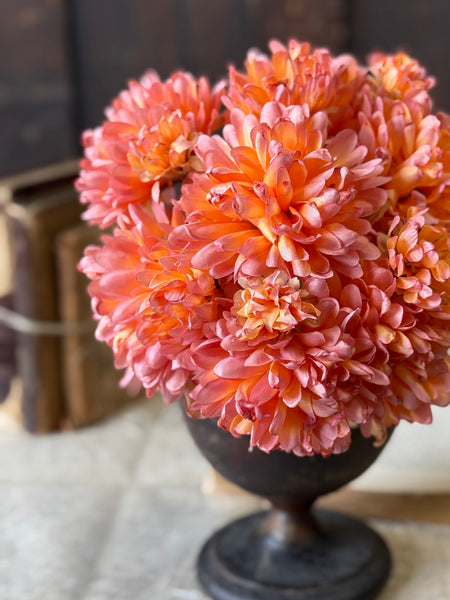 Chantilly Mum Bush | 10.5" | Calypso