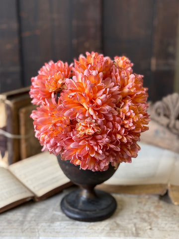 Chantilly Mum Bush | 10.5" | Calypso