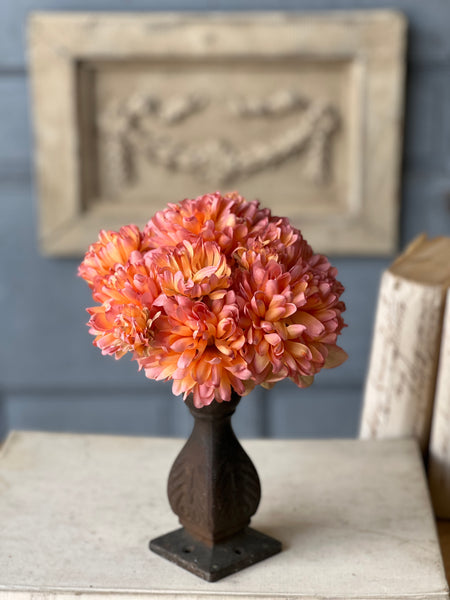 Chantilly Mum Bush | 10.5" | Calypso | NOT CURRENTLY IN STOCK-New For Spring 2026!