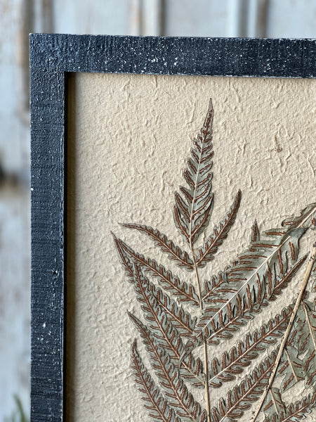 Framed Herbarium | 19.5" | No. 1