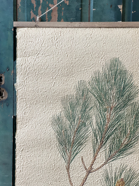 Hanging Scroll | 37.75" | Pine Sprig | NEW CLOSEOUT!  From $7.50