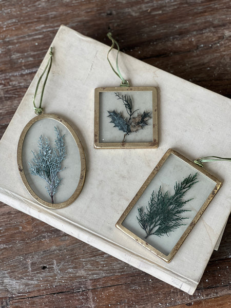 Petite Pine Ornament | 11.75" | No. 3 | SOLD OUT