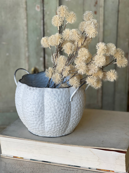 Lumina Pumpkin Planters | Set/3 | SOLD OUT