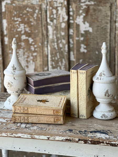 Novel Notes | Beekeeper