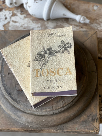 Novel Notes | Tosca