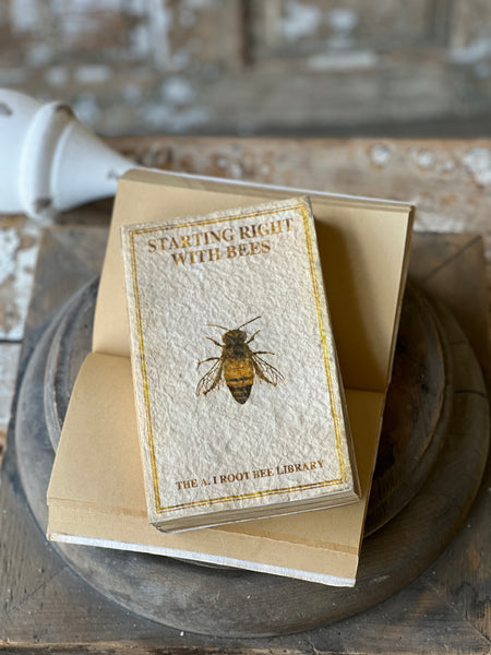Novel Notes | Beekeeper