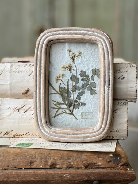 Wakefield Mini Botanical | No. 1 | NOT CURRENTLY IN STOCK - Spring 2026