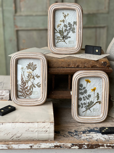 Wakefield Mini Botanical | No. 1 | NOT CURRENTLY IN STOCK - Spring 2026