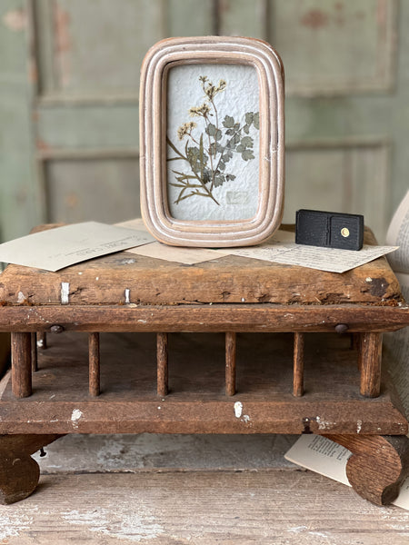 Wakefield Mini Botanical | No. 1 | NOT CURRENTLY IN STOCK - Spring 2026