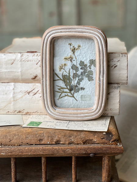 Wakefield Mini Botanical | No. 1 | NOT CURRENTLY IN STOCK - Spring 2026